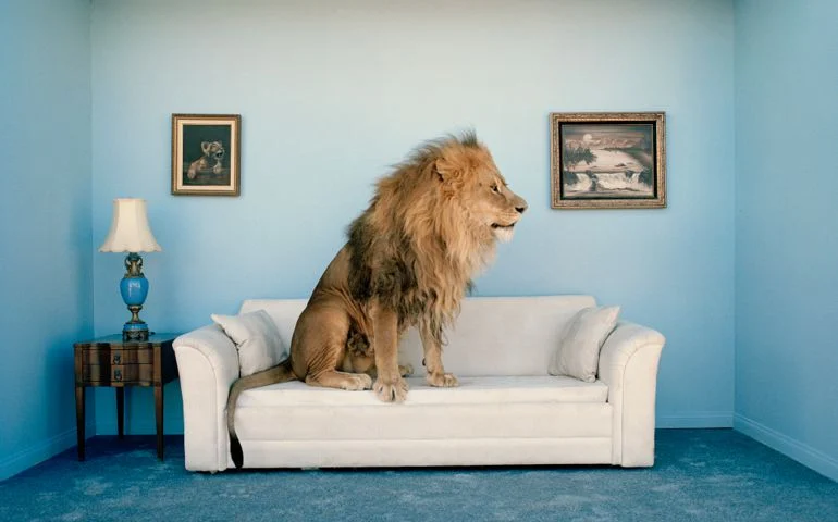 What does your ideal living space look like?
